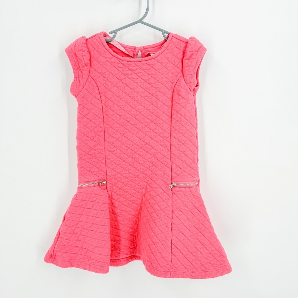 Gymboree Pink Flutter Sleeve Fit and Flare Dress